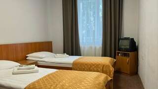 Гостиница ДерябинЪ Ижевск Двухместный номер эконом-класса с 2 отдельными кроватями-1